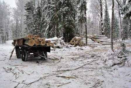 Промысел на дровах