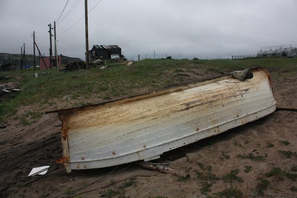 Полевое исследование на Таймыре и в Мурманской области