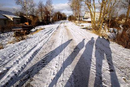 Со звериной бесхозностью (КоммерсантЪ. Деньги. 28.01.2017 г.)