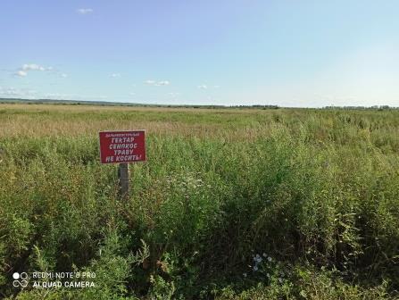 «Миф потенциала – потенциал мифа: проекты развития на дальневосточном приграничье». Презентация результатов во Владивостоке и Иркутске.