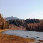 Осень в Загорной. Сельское природопользование (сбор урожая, забой скота, шишкарка, рыбалка и охота) жителей деревни Загорной в Горной Шории