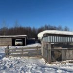 Сельский предприниматель